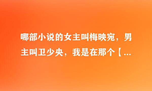 哪部小说的女主叫梅映宛，男主叫卫少央，我是在那个【相爱恨晚之痴将军】的视频里看到的