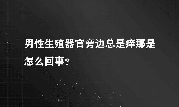 男性生殖器官旁边总是痒那是怎么回事？