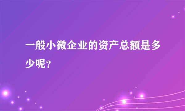 一般小微企业的资产总额是多少呢？