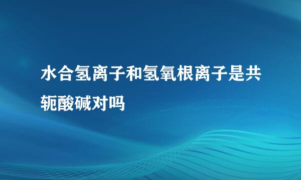 水合氢离子和氢氧根离子是共轭酸碱对吗