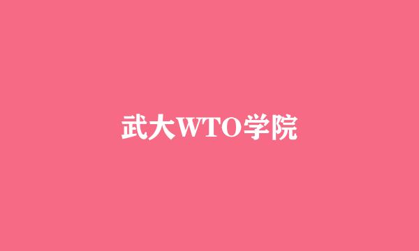 武大WTO学院