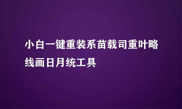 小白一键重装系苗载司重叶略线画日月统工具