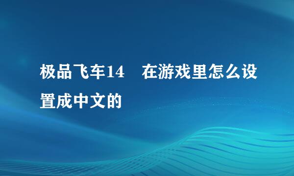 极品飞车14 在游戏里怎么设置成中文的