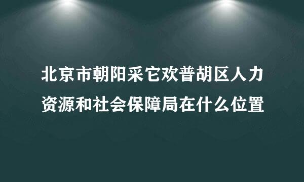 北京市朝阳采它欢普胡区人力资源和社会保障局在什么位置