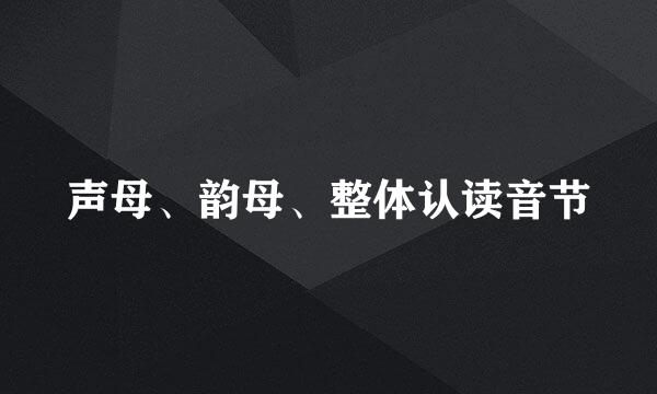 声母、韵母、整体认读音节