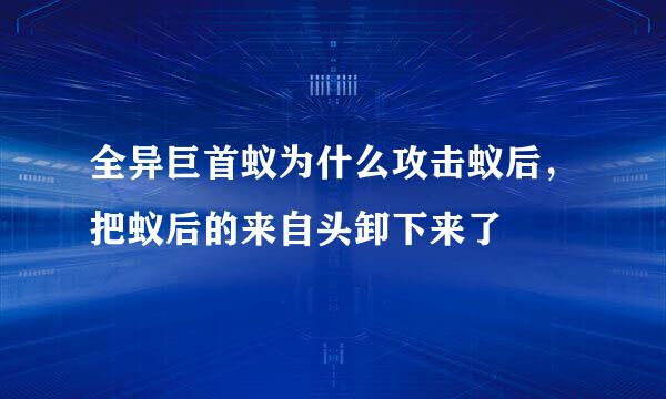 全异巨首蚁为什么攻击蚁后，把蚁后的来自头卸下来了