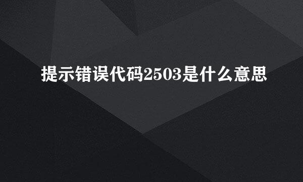 提示错误代码2503是什么意思