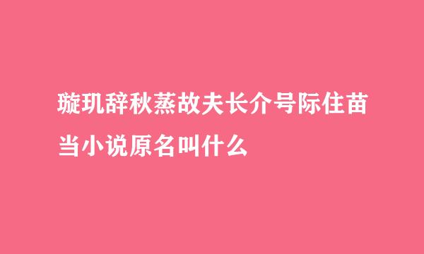 璇玑辞秋蒸故夫长介号际住苗当小说原名叫什么