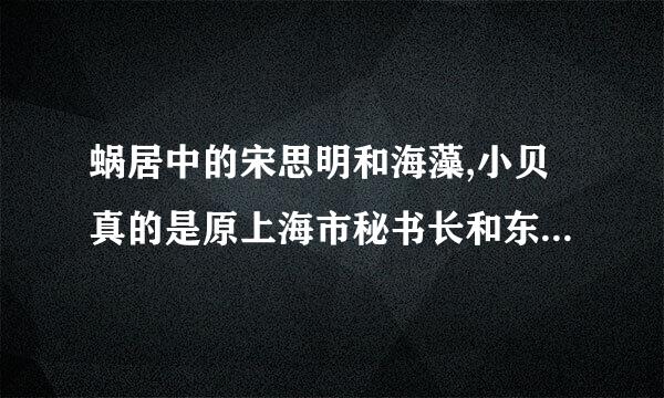 蜗居中的宋思明和海藻,小贝真的是原上海市秘书长和东方卫视主持人的原型吗???