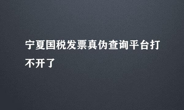 宁夏国税发票真伪查询平台打不开了