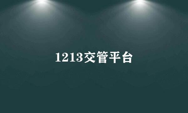 1213交管平台