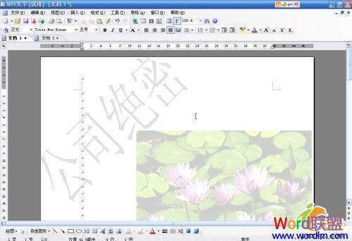 wps文字中的图片上面怎么加水印