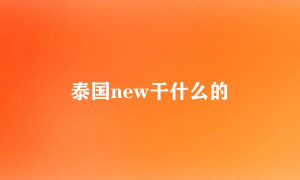 泰国new干什么的