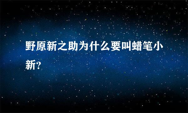 野原新之助为什么要叫蜡笔小新？