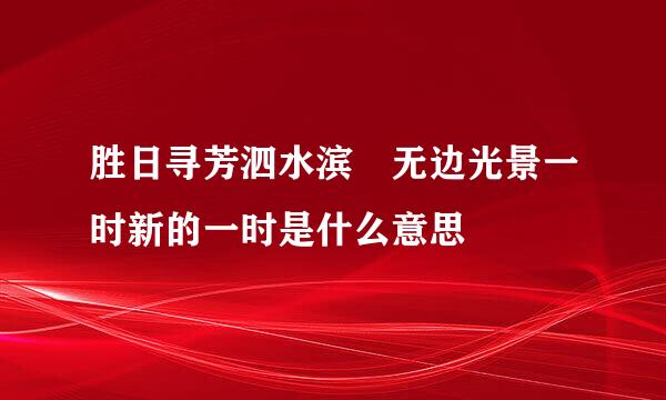 胜日寻芳泗水滨 无边光景一时新的一时是什么意思