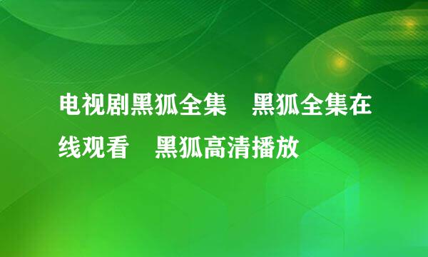 电视剧黑狐全集 黑狐全集在线观看 黑狐高清播放