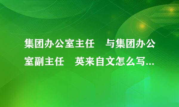 集团办公室主任 与集团办公室副主任 英来自文怎么写 我要印名片，谢谢