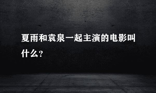 夏雨和袁泉一起主演的电影叫什么？