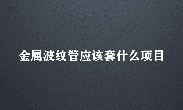 金属波纹管应该套什么项目