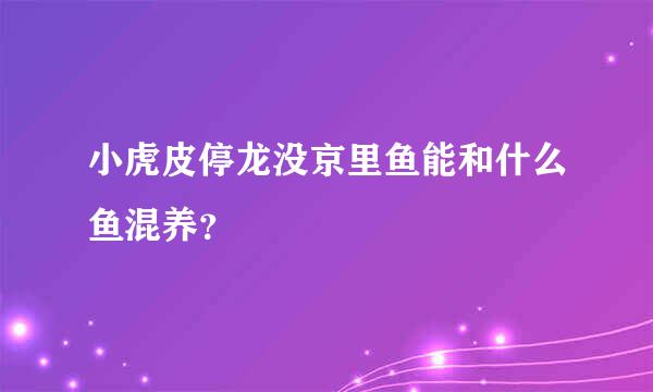 小虎皮停龙没京里鱼能和什么鱼混养？