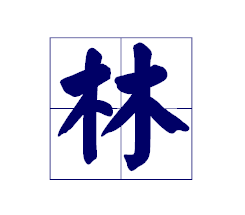 田字格木字旁的笔顺视频