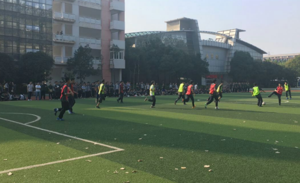 金陵中学岱山分校和雨花台中学哪个好找食的析