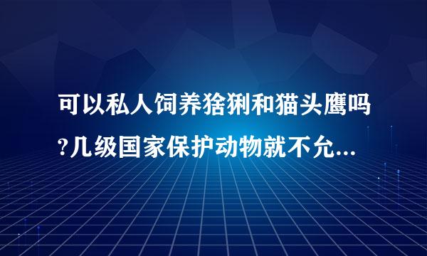 可以私人饲养猞猁和猫头鹰吗?几级国家保护动物就不允许私人饲养了?狼呢?