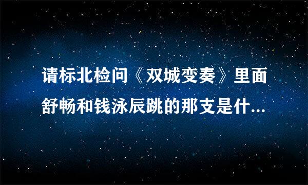 请标北检问《双城变奏》里面舒畅和钱泳辰跳的那支是什么舞蹈？