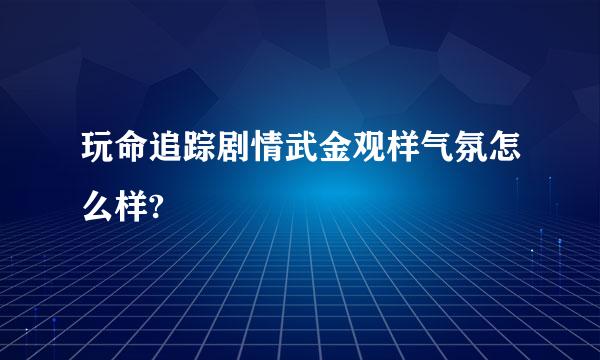 玩命追踪剧情武金观样气氛怎么样?