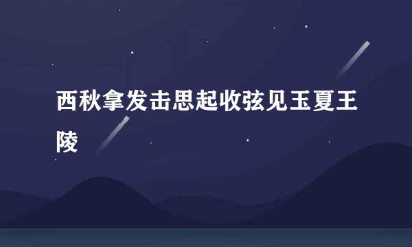 西秋拿发击思起收弦见玉夏王陵