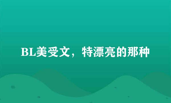 BL美受文，特漂亮的那种