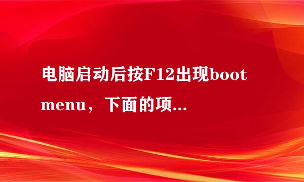 电脑启动后按F12出现boot menu，下面的项目是什么意思？