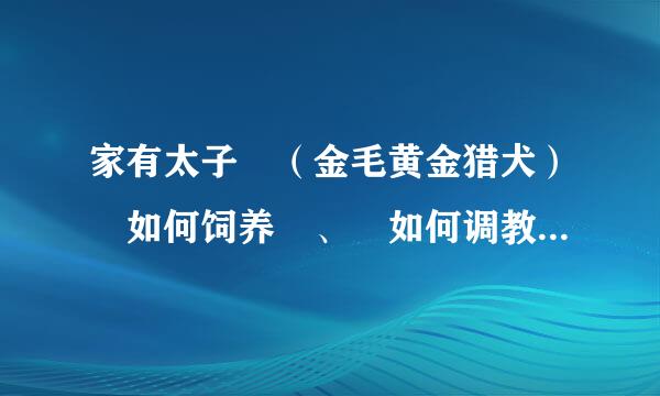 家有太子 （金毛黄金猎犬） 如何饲养 、 如何调教成了为问题。。。