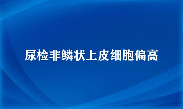 尿检非鳞状上皮细胞偏高