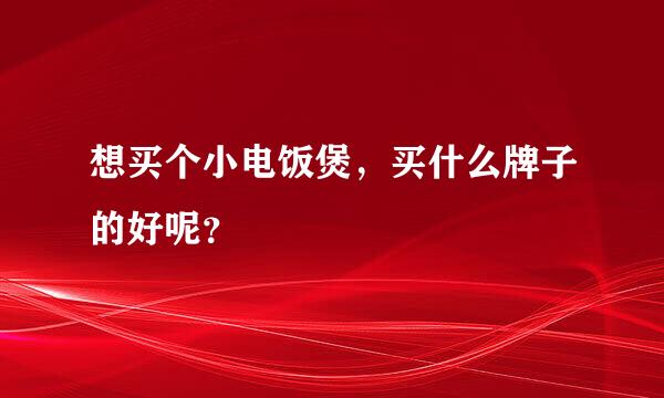 想买个小电饭煲，买什么牌子的好呢？