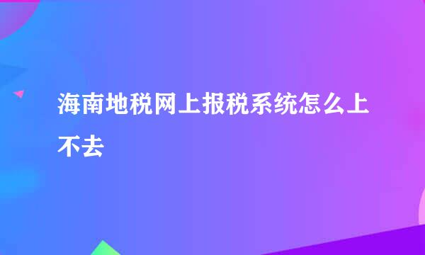 海南地税网上报税系统怎么上不去