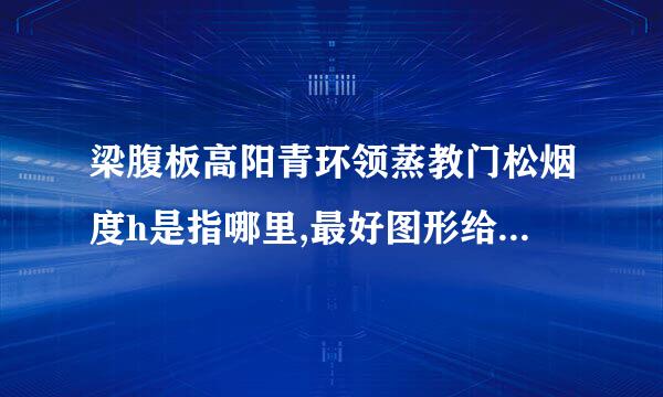 梁腹板高阳青环领蒸教门松烟度h是指哪里,最好图形给我看下。谢谢。