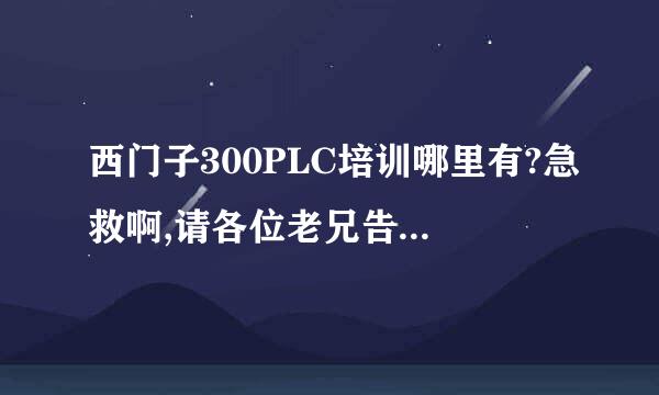 西门子300PLC培训哪里有?急救啊,请各位老兄告知下,谢谢