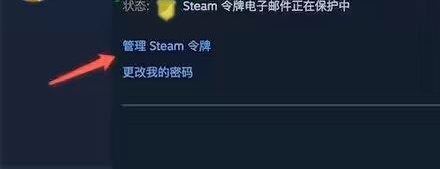 steam手机验证器怎么弄？