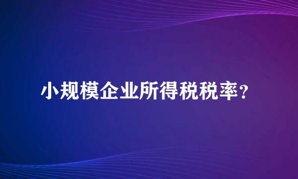 小规模企业所得税税率？