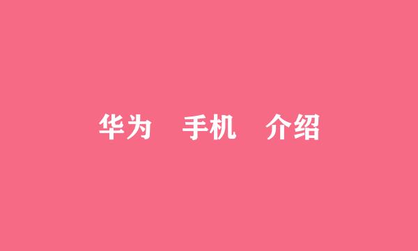 华为 手机 介绍