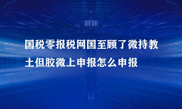 国税零报税网国至顾了微持教土但胶微上申报怎么申报