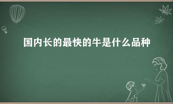 国内长的最快的牛是什么品种