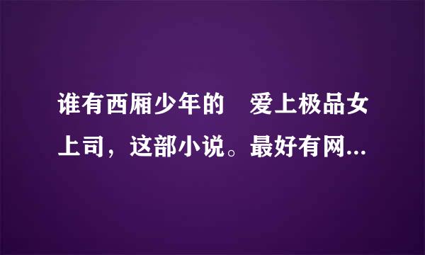 谁有西厢少年的 爱上极品女上司，这部小说。最好有网盘。谢谢了。