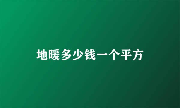 地暖多少钱一个平方