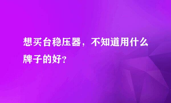 想买台稳压器，不知道用什么牌子的好？