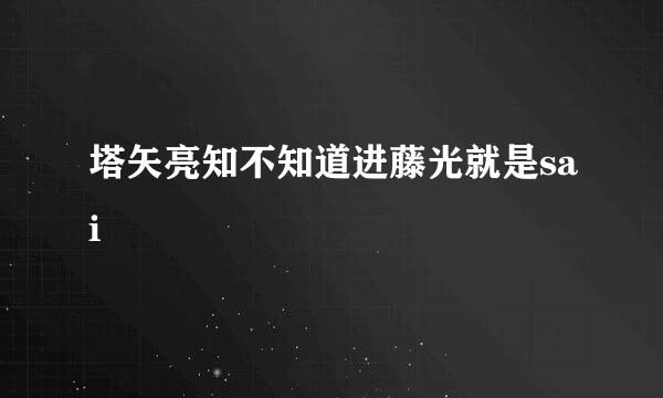 塔矢亮知不知道进藤光就是sai