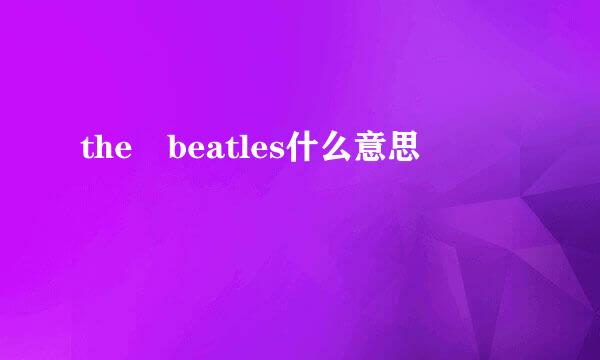 the beatles什么意思