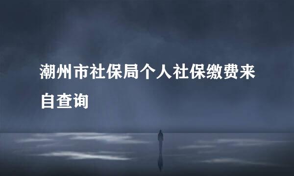 潮州市社保局个人社保缴费来自查询