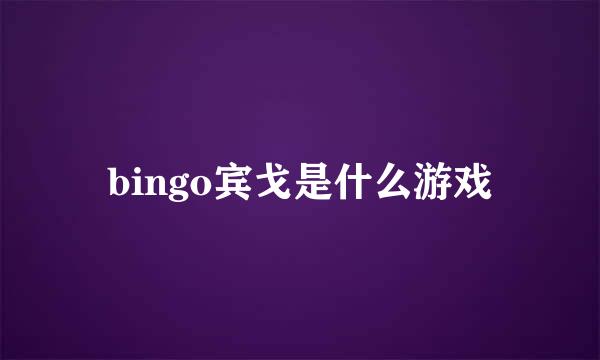 bingo宾戈是什么游戏